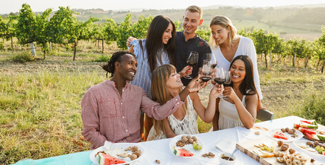 Fototapeta premium Happy friends having fun drinking red wine and eating together - Multiracial people doing party at summer time in countryside with vineyard in background - Main focus on people faces