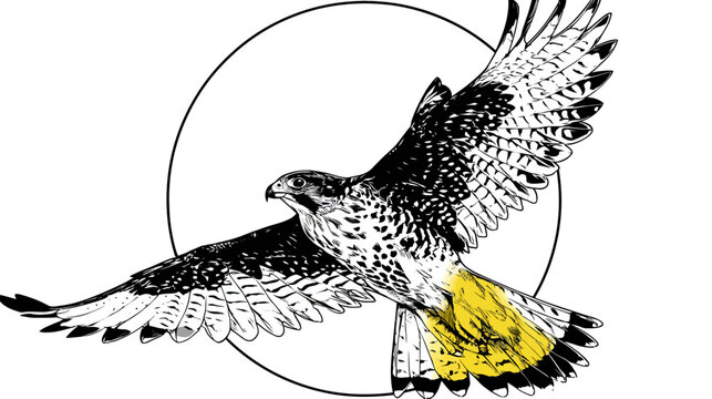 A falcon illustration in mid-flight, with a circle outline behind it and yellow on its feathers