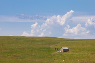 buron, ferme traditionnelle d'été, sur le plateau du Limon, plateau basaltique dans le Cantal