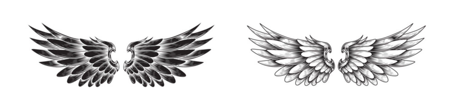 Angel Wing Vector Scetch Designs Collection