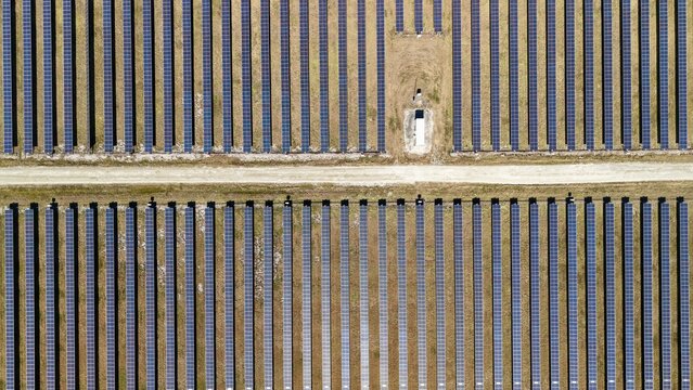 Aerial view of rows of dark solar panels contrasting against the golden fields, a stark display of modern energy landscape, Elkton, Florida, United States.