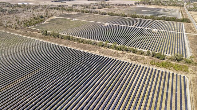Aerial view of rows of solar panels reflecting sunlight, creating a shimmering grid across the landscape, Elkton, Florida, United States.
