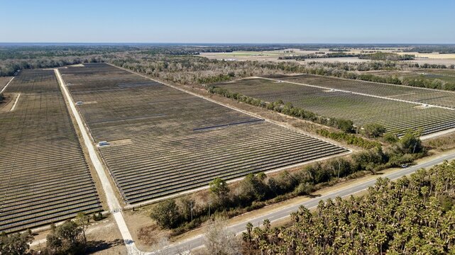 Aerial view of a vast solar farm shimmering under the bright sun, bordered by dark green trees, Elkton, Florida, United States.