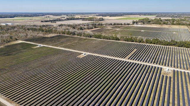 Aerial view of rows of solar panels gleaming under the clear sky, contrasting with the surrounding greenery, Elkton, Florida, United States.