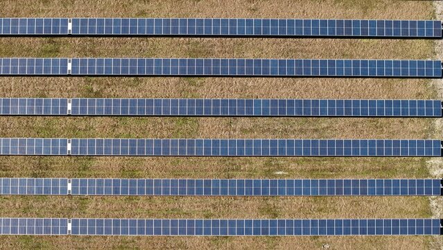 Aerial view of rows of solar panels contrasting against the dry grass, creating a geometric pattern from above, Elkton, Florida, United States.