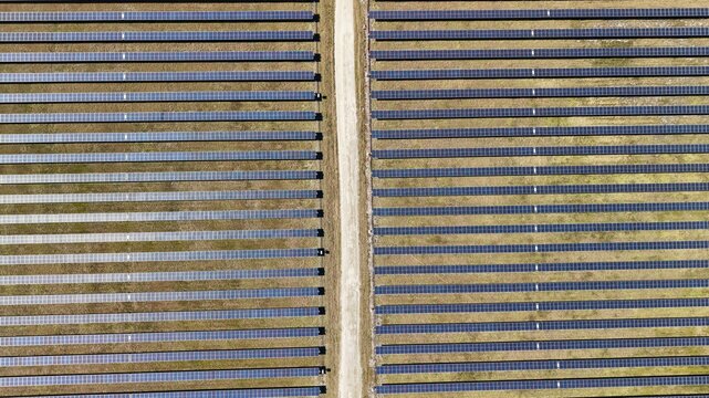 Aerial view of rows of solar panels stretch across the landscape, bisected by a pale path, capturing the contrast between technology and nature, Elkton, Florida, United States.