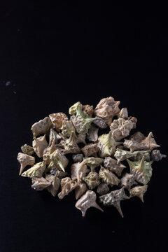 Tribulus taiwanense - Bindii