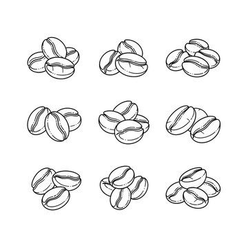 Hand Drawn Coffee Beans Collection Vector Illustration.