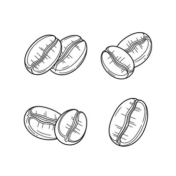 Hand Drawn Coffee Beans Illustration 2.