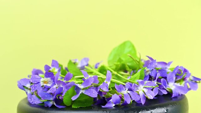  bouquet of spring violets