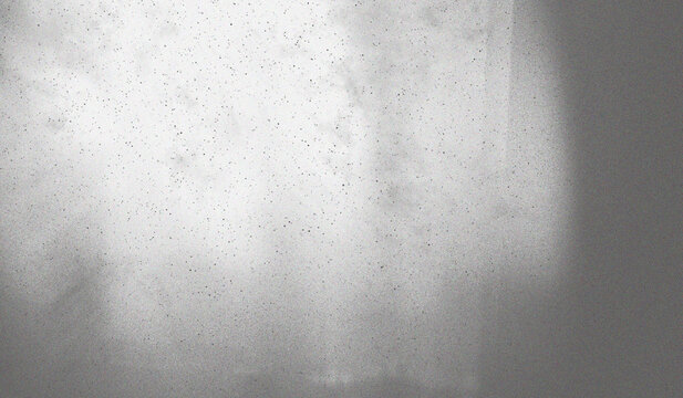 monochrome nuances with Horizontal Pattern The entire surface of the image is covered by a fine grain or speckled effect, which gives the impression of a rough texture or is similar to noise in old ph