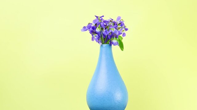 spring violets in a beautiful vase