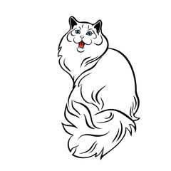 Obraz premium White cat with blue eyes sitting and looking back