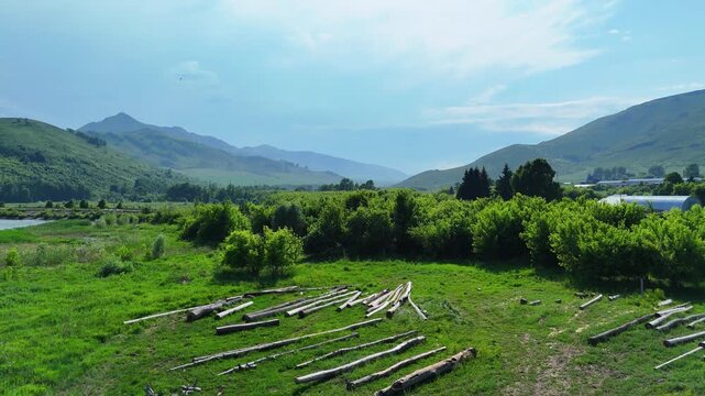 Scenic drone footage of a summer meadow featuring weathered dry logs and vibrant green trees. In the distance, the majestic green mountains of East Kazakhstan rise against a clear sunny sky.  
