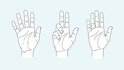 Obraz premium Three detailed line drawings of human hands show various positions and palm lines on a light blue gradient background.