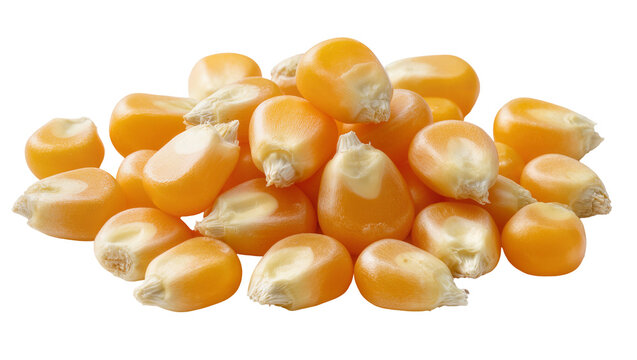 Pile of bright yellow corn kernels, displaying natural texture and shape