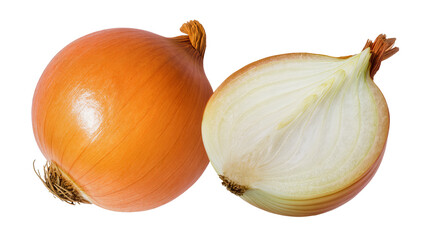 Fototapeta premium Whole yellow onion, and halved onion displaying layered rings