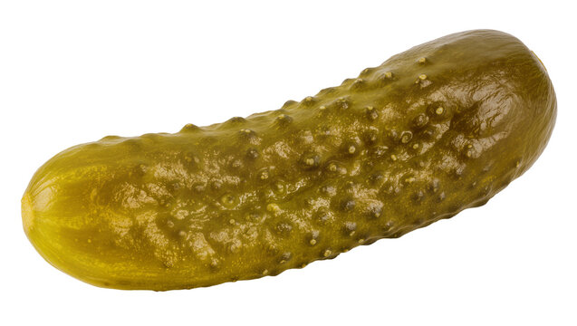 Large bumpy green pickle, displaying natural texture and vibrant color