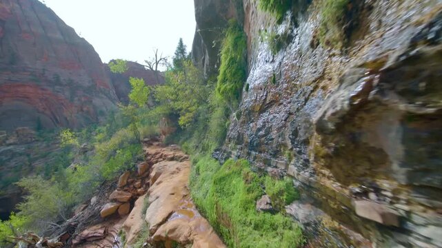 Footage of the scenic Canyon Overlook Trail in Zion National Park, Utah. This popular, short, 1-mile round-trip hike offers panoramic views of Zion Canyon, dramatic cliffs, and unique rock formations