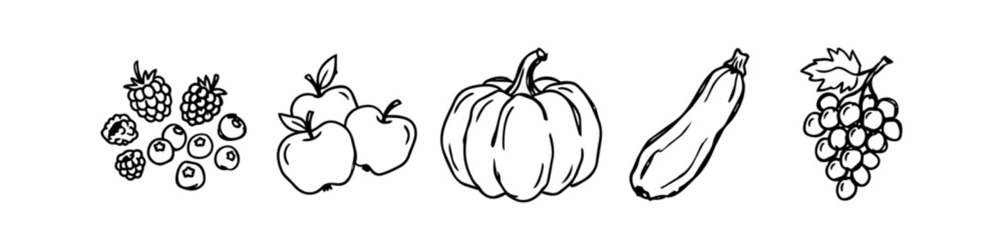 Hand-drawn line art sketches of harvest fruits and vegetables: berries, apples, pumpkin, zucchini, and grapes. Minimalist black and white vector icons for seasonal and healthy food designs.