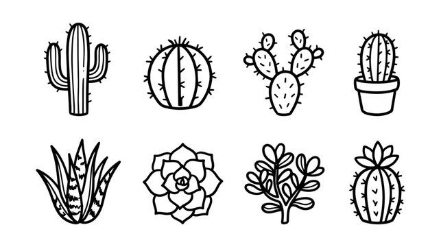 Cacti and succulents icon set: minimalist black hand drawn line art, isolated on white.