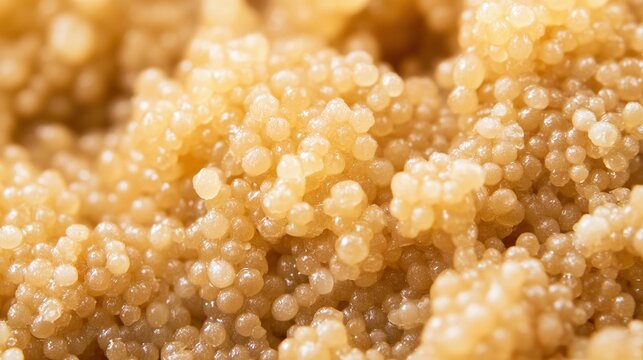 natto. Extreme close-up of fermented soybeans with glossy, stringy mucus coating. menu design, packaging mockups, designed for culinary blogs and recipe cards for restaurants.