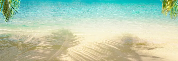 Panoramic view of a serene tropical beach with clear turquoise water and palm tree shadows on golden sand. A bright and peaceful nature scene for summer vacation themes. © Laura Pashkevich