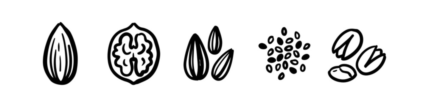 Set of hand-drawn vector icons of various nuts and seeds including almond, walnut, sunflower seeds, sesame, and pistachios. Minimalist black line art isolated on white background.