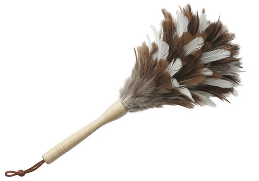 Ostrich feather duster with wooden handle isolated on transparent