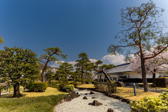 Peaceful spring morning in a Japanese garden with traditional architecture and trees