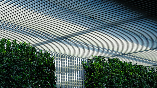 Modern building facade with aluminium frame solar shading and full height green leaves wall under bright blue sky. Perfect for sustainable architecture, eco friendly design, modern building exterior.