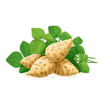Wild Yam, presented as a modern flat 2D vector icon graphic on a white background