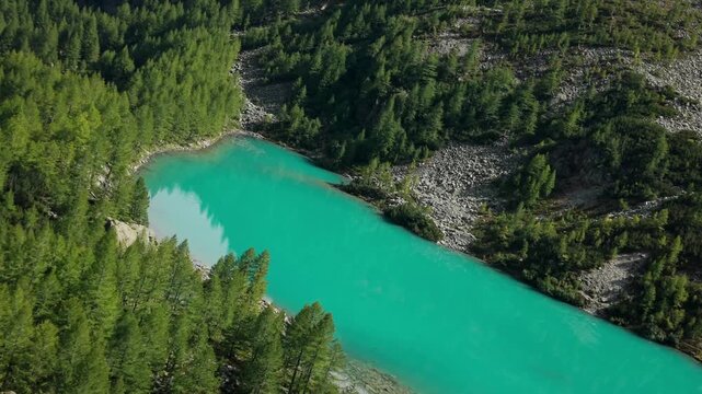 Stunning turquoise water of the alpine Lagazzuolo lake surrounded by a green larch forest in Valmalenco, Lombardy, Italy. Aerial drone view, copy space