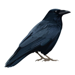 Fototapeta premium Minimal 2D flat vector of a Raven, icon-style illustration on a white background