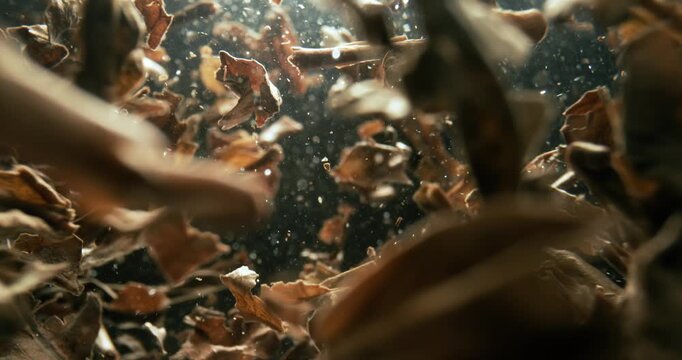 Black tea leaves brewing in hot water. Shot on super slow motion camer.