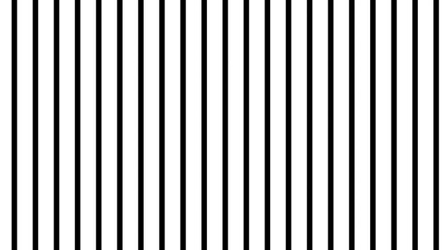 White and black color zebra stripes moving in seamless loop animation. Black background 4k video and beautiful wallpaper.