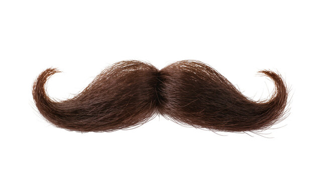 Curly dark brown handlebar mustache, styled with upward sweeping ends