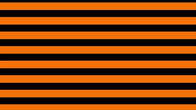 Orange and black color zebra stripes moving in seamless loop animation. Black background 4k video and beautiful wallpaper.