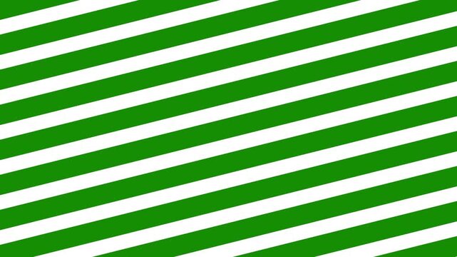 White and black color zebra stripes moving in seamless loop animation. Black background 4k video and beautiful wallpaper.