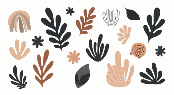 Abstract botanical doodle vector set in Matisse style with modern boho floral leaves shapes for minimalist wall art and print design