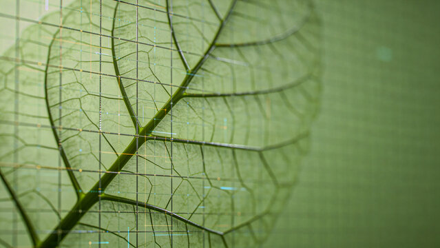 Leaf vein lines merge with digital grid on light green, agritech concept