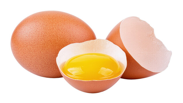 Brown whole egg cracked shell revealing vibrant yellow yolk, and broken fragments