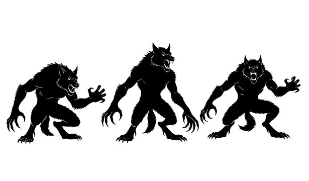 Werewolf silhouettes set with attacking crouching and standing poses isolated on white background fantasy monster vector collection Bangladesh