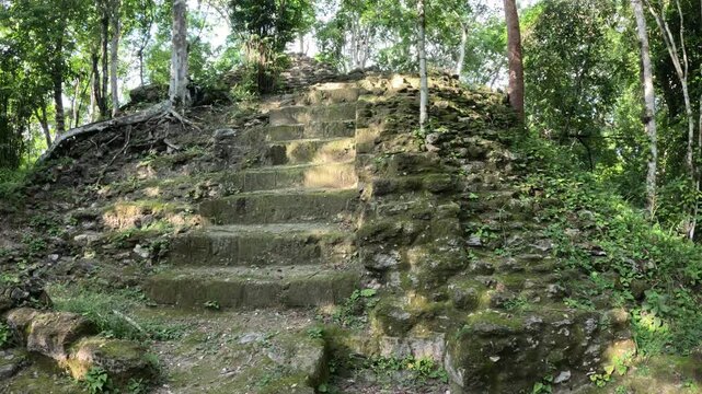 Dramatic cinematic travel footage of La Danta pyramid towering above the rainforest in El Mirador, iconic Mayan ruins Guatemala Central America