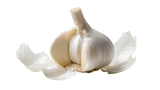 Whole bulb garlic partially peeled revealing cloves, showing texture
