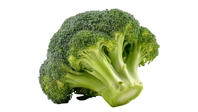 Vibrant green broccoli head, displaying dense florets and a crisp stem