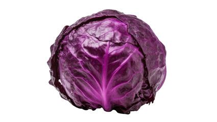 Fototapeta premium Crimson red cabbage head, displaying tightly packed leaves with vibrant purple hues