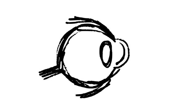 Human eye scetch