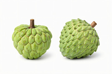 Fototapeta premium Sugar Apple and Atemoya – White Background