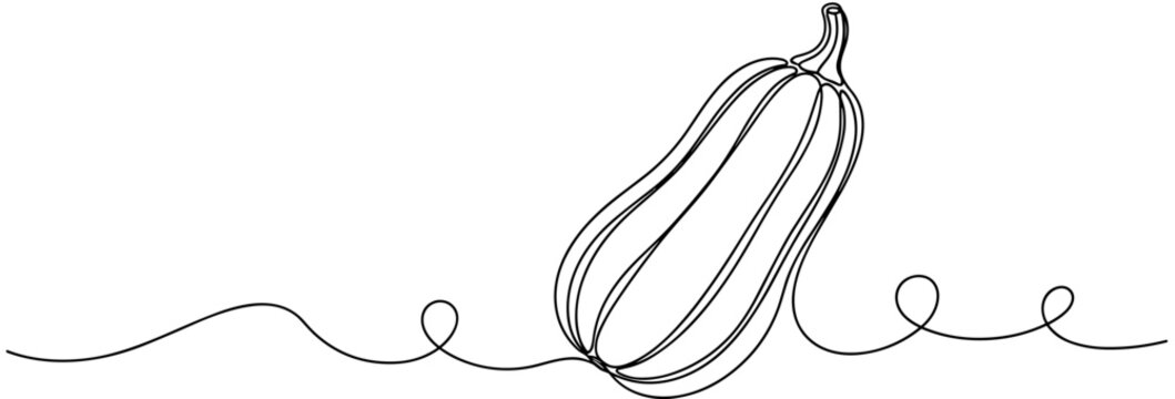 Butternut squash sketched in continuous line on plain horizon, none editable strokes